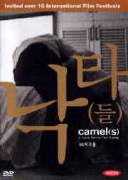 camels.jpg