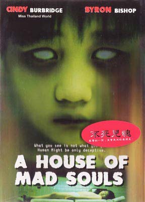 a_house_of_mad_souls.jpg